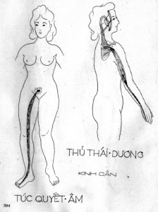 Thu Thai Duong